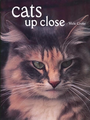 Cats Up Close book