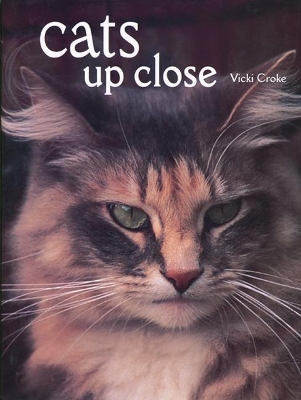 Cats Up Close by Vicki Croke