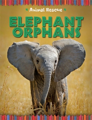Animal Rescue: Elephant Orphans book