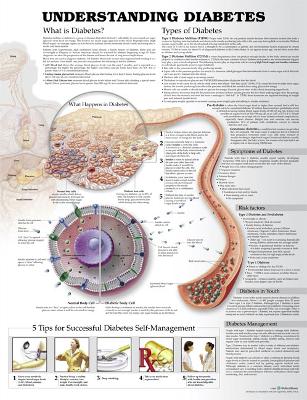 Understanding Diabetes Anatomical Chart by Anatomical Chart Company