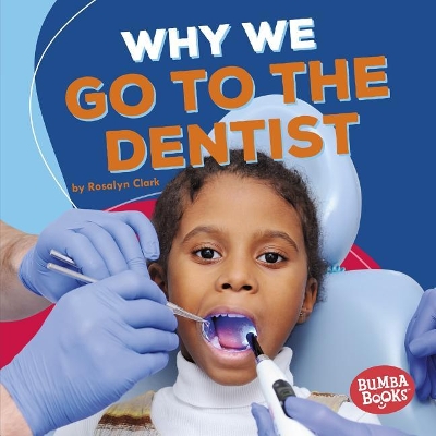 Why We Go to the Dentist book