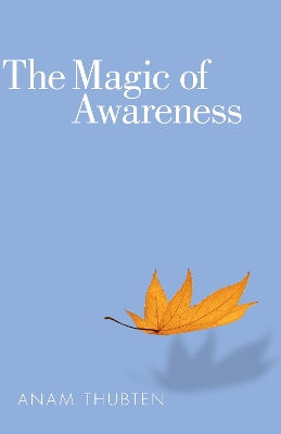 Magic Of Awareness book