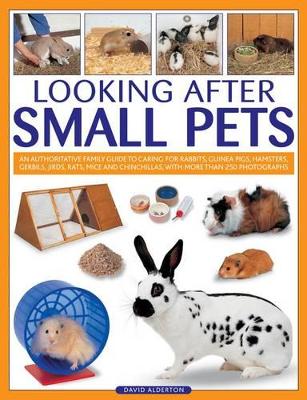 Looking After Small Pets book