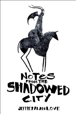 Notes from the Shadowed City book