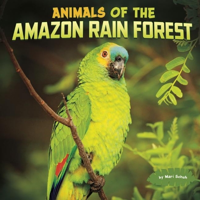 Animals of the Amazon Rain Forest book
