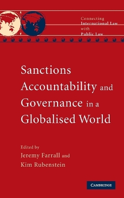 Sanctions, Accountability and Governance in a Globalised World book