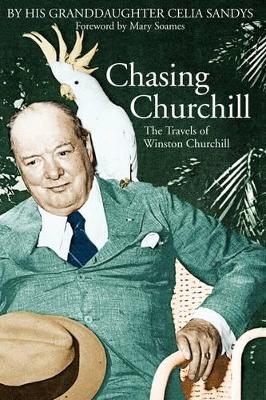 Chasing Churchill by Celia Sandys