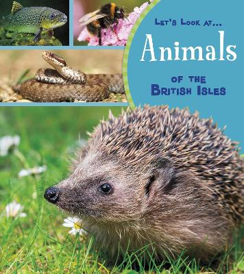 Animals of the British Isles by Lucy Beevor