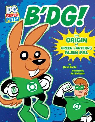 B'DG! An Origin Story book