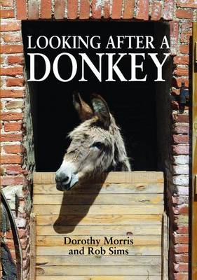 Looking After a Donkey book