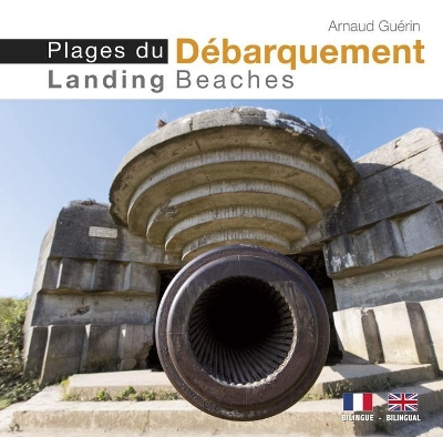 Landing Beaches book