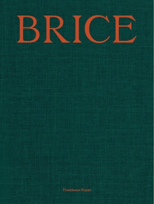 Lisa Brice: Lives and Works book