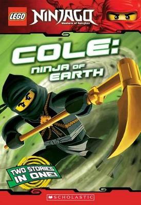 LEGO Ninjago: Cole: Ninja of Earth (Chapter Book) book