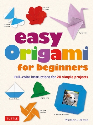 Easy Origami for Beginners: Full-color instructions for 20 simple projects book
