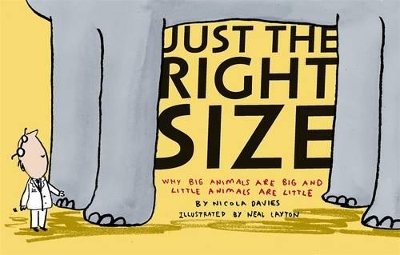 Just The Right Size book