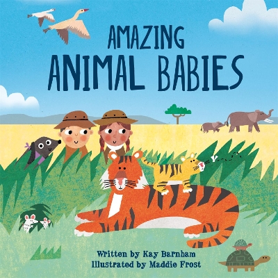 Look and Wonder: Amazing Animal Babies book