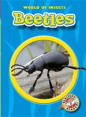 Beetles book