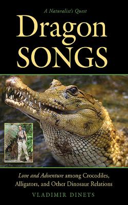 Dragon Songs book