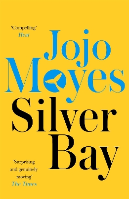 Silver Bay book