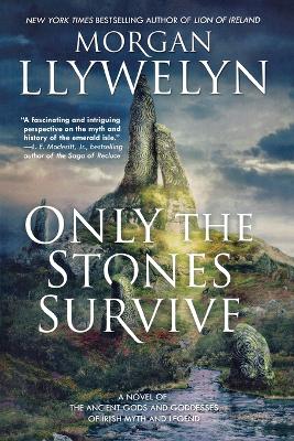 Only the Stones Survive book