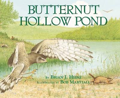 Butternut Hollow Pond book