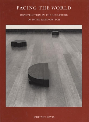 Pacing the World - Construction in the Sculpture of David Rabinwitch book
