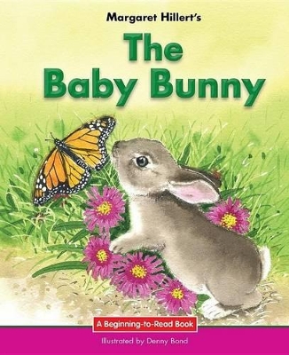 Baby Bunny book