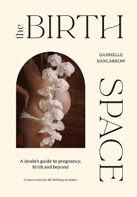 The Birth Space: A Doula's Guide to Pregnancy, Birth and Beyond book