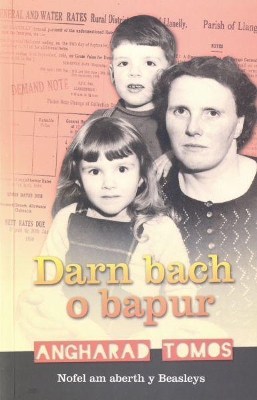 Darn Bach o Bapur book