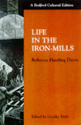 Life in the Iron Mills book