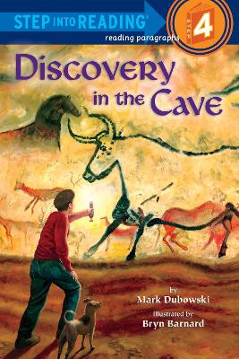 Discovery In The Cave book