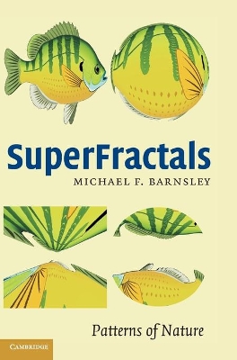 SuperFractals book