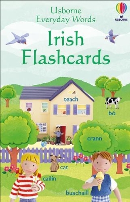 Everyday Words in Irish Flashcards book