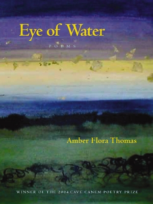 Eye of Water book