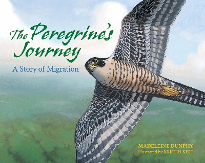 The Peregrine's Journey by Madeleine Dunphy