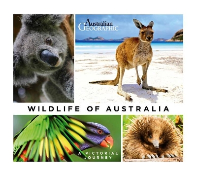 Wildlife of Australia book