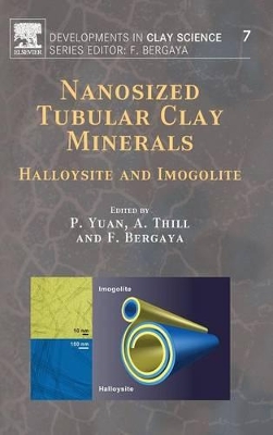 Nanosized Tubular Clay Minerals book