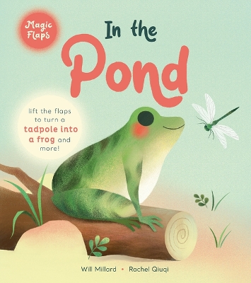 In the Pond: A Magic Flaps Book book