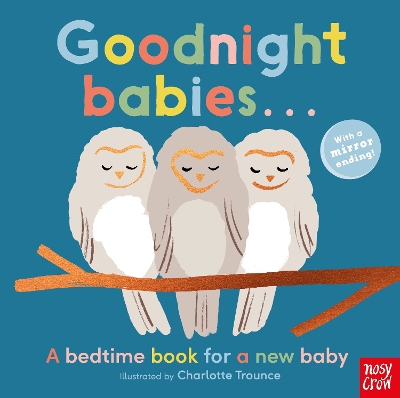 Goodnight Babies . . . book