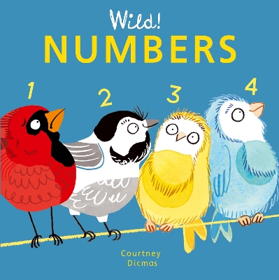 Numbers book