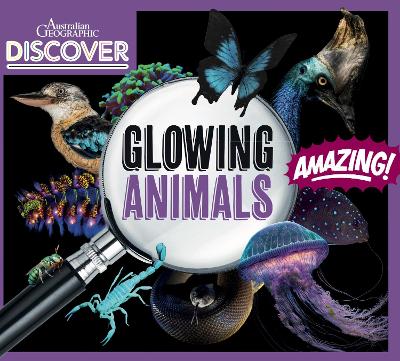 AG Discover: Glowing Animals book