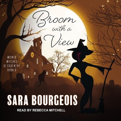 Broom with a View book