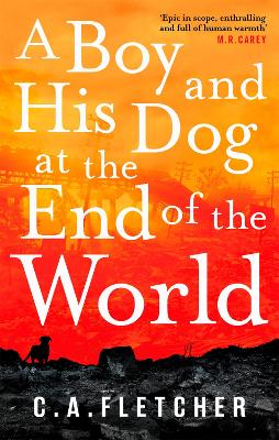 A Boy and his Dog at the End of the World book