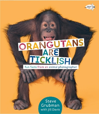 Orangutans Are Ticklish book