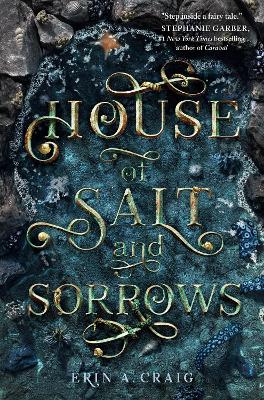 House Of Salt And Sorrows book