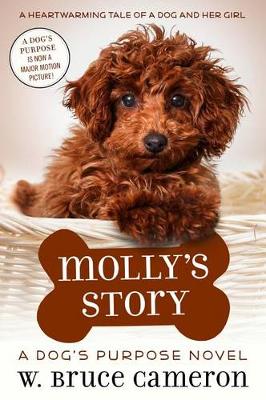 Molly's Story by W Bruce Cameron