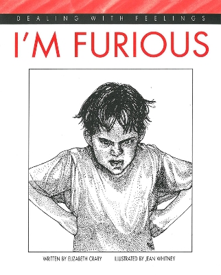 I'm Furious book