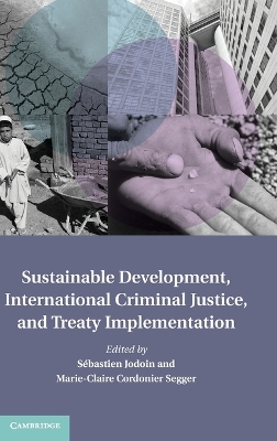 Sustainable Development, International Criminal Justice, and Treaty Implementation book