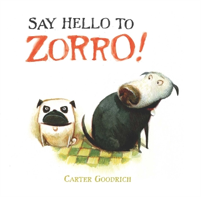 Say Hello to Zorro! book