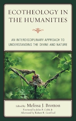 Ecotheology in the Humanities by Melissa Brotton